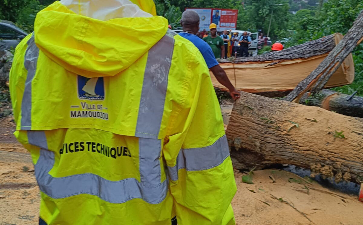 Les agents du service des espaces verts de Mamoudzou élaguent un arbre tombé sur la route.
