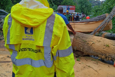 Les agents du service des espaces verts de Mamoudzou élaguent un arbre tombé sur la route. - Agrandir l'image 1 sur 3, fenêtre modale