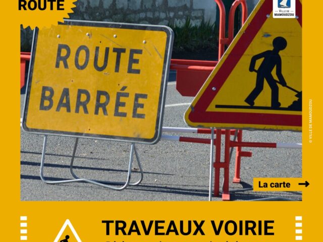 Travaux de voirie, circulation réglementée sur l'avenue Baco Mahadali - Agrandir l'image, fenêtre modale